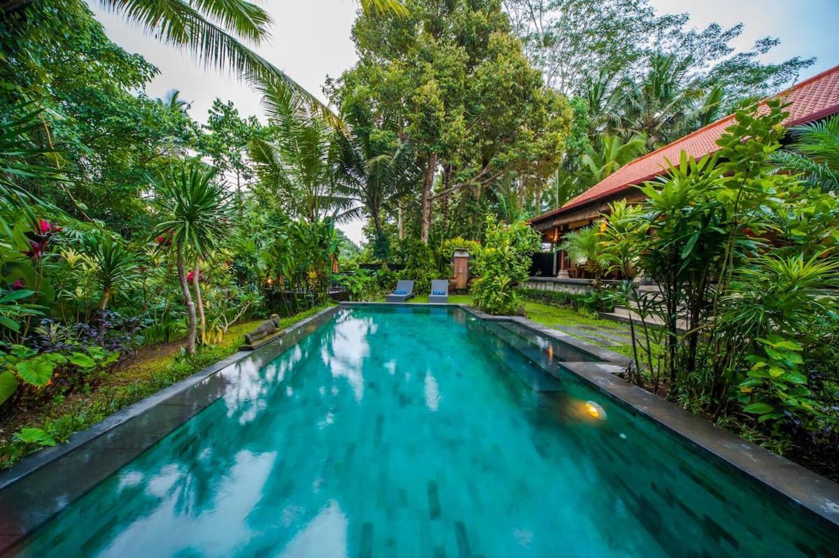 Luxury 3Br Infinity Jungle View Aashaya Villa Ubud מראה חיצוני תמונה