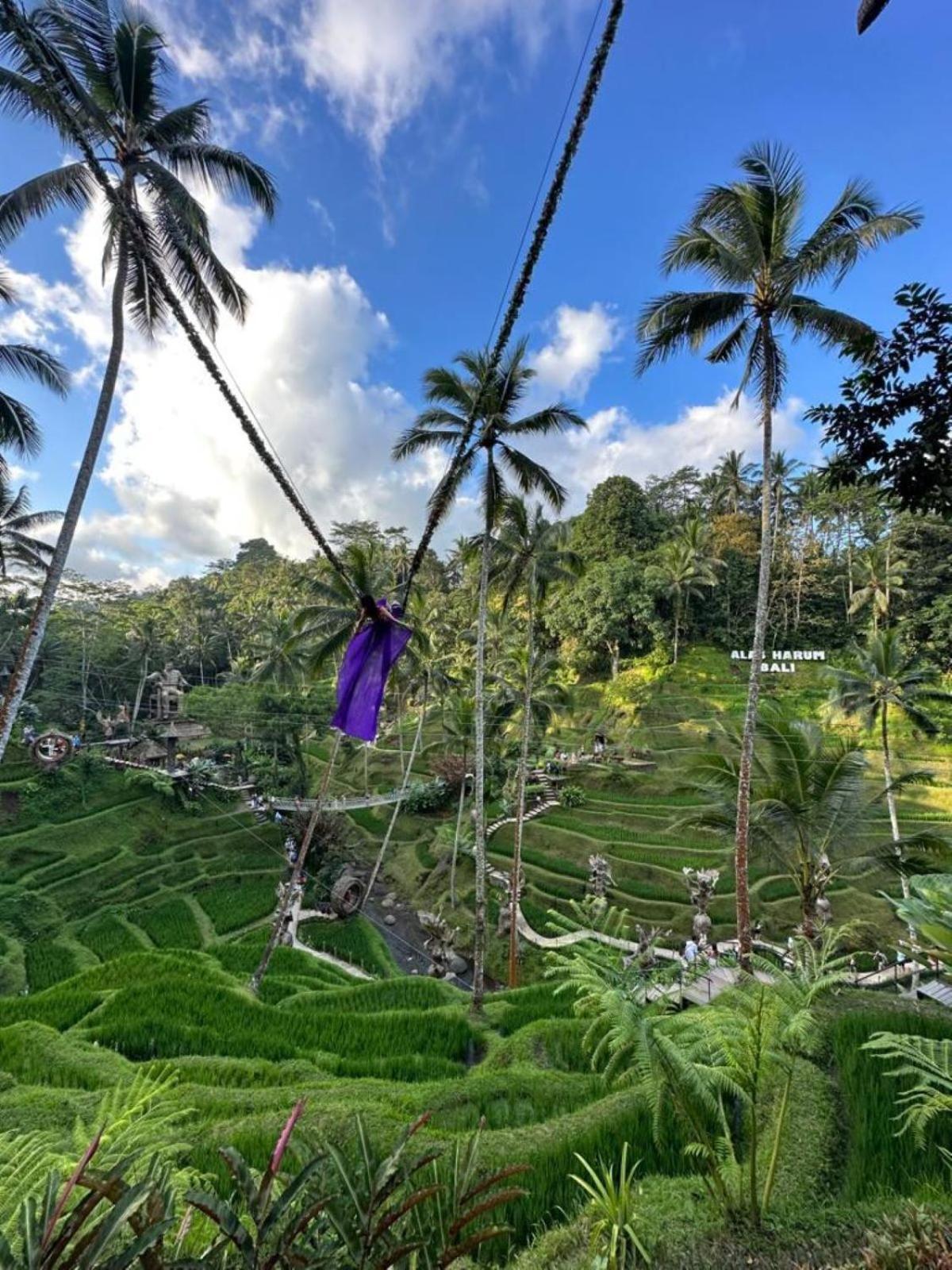 Luxury 3Br Infinity Jungle View Aashaya Villa Ubud מראה חיצוני תמונה