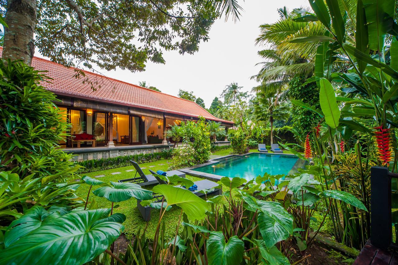Luxury 3Br Infinity Jungle View Aashaya Villa Ubud מראה חיצוני תמונה
