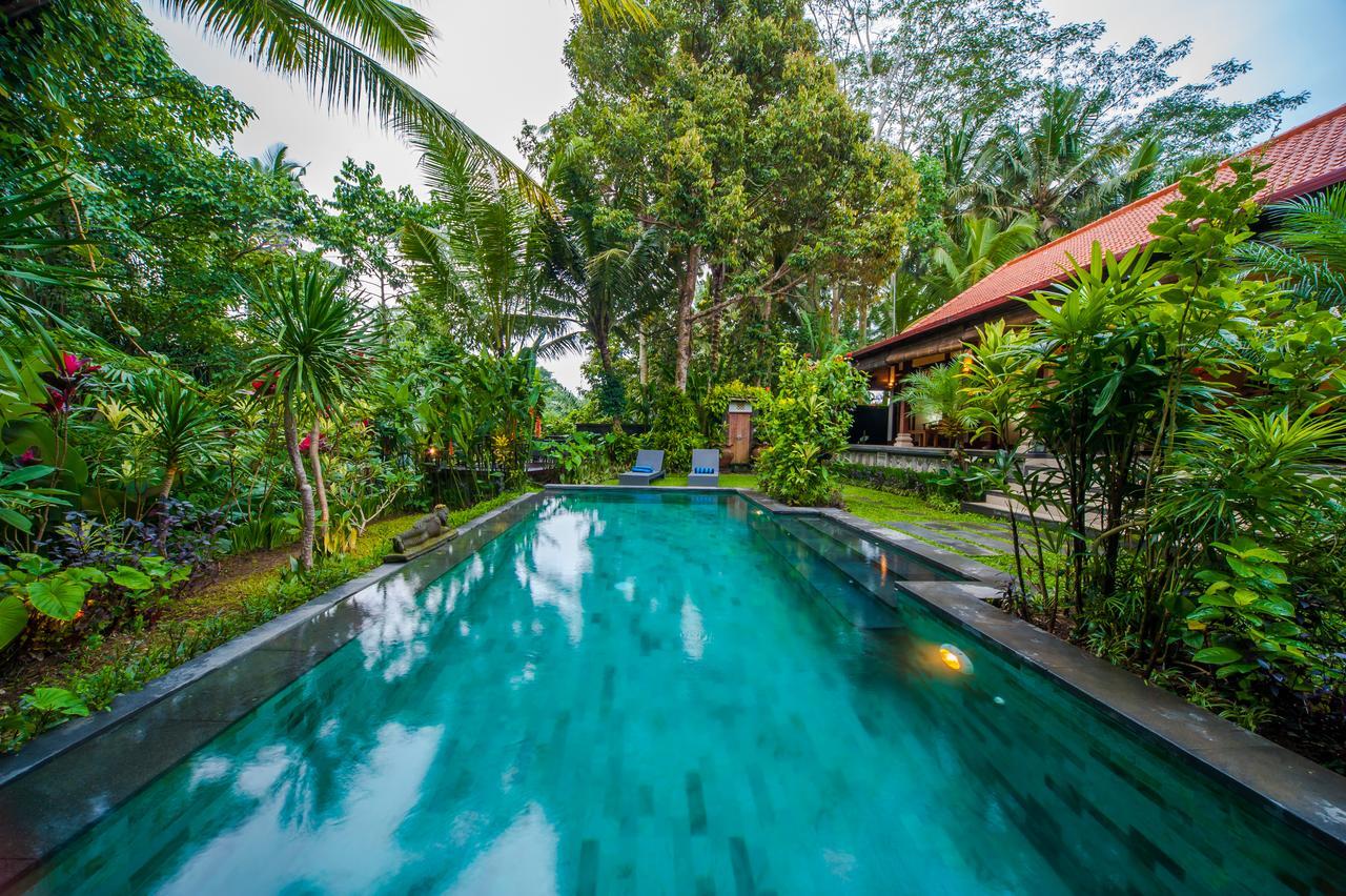 Luxury 3Br Infinity Jungle View Aashaya Villa Ubud מראה חיצוני תמונה